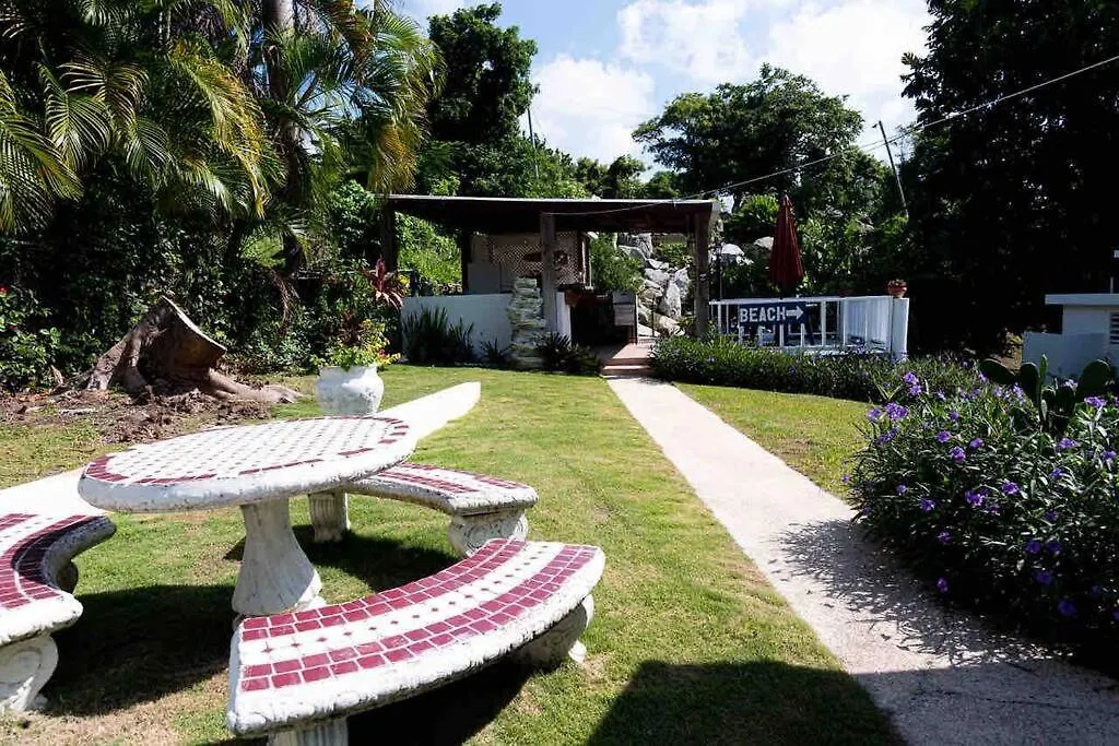 Beach Villa Don Rafa With Pool And 5-Bedrooms