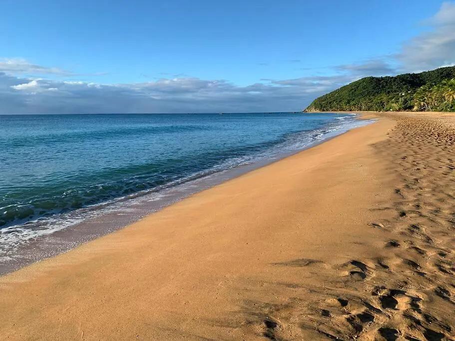 Beach Villa Don Rafa With Pool And 5-Bedrooms 0*, Yabucoa
